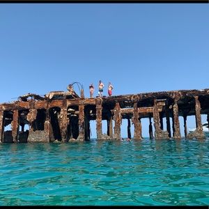 Meet your Posher, Bernadette